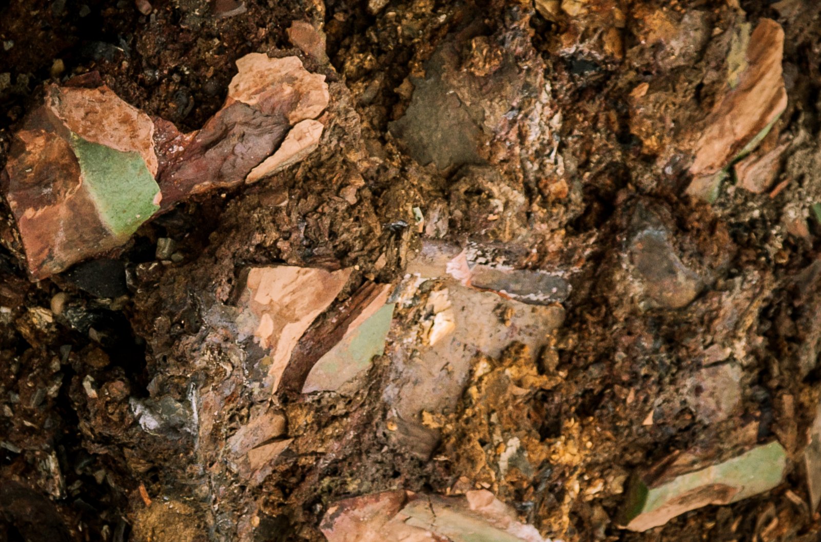 art-of-sandy-mo-seagate 2-61.jpg